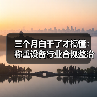 三个月白干了才搞懂：称重设备行业合规整治不是开玩笑（图4）