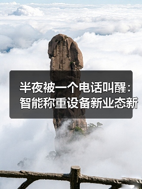 半夜被一个电话叫醒：智能称重设备新业态新模式怎么就成了刚需（图4）