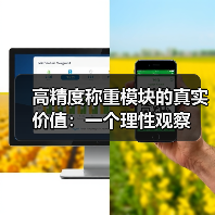 高精度称重模块的真实价值:一个理性观察(图2) 高精度称重模块的真实价值:一个理性观察(图2)