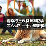 雨季称重设备防潮防雷怎么做？一个地磅老板赔了12万后的反