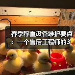 春季称重设备维护要点:一个售后工程师的3个翻车教训(图2) 春季称重设备维护要点:一个售后工程师的3个翻车教训(图2)