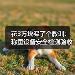 花3万块买了个教训：称重设备安全检测验收到底怎么把关？（图4）