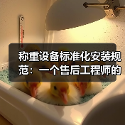 称重设备标准化安装规范:一个售后工程师的血泪教训(图4) 称重设备标准化安装规范:一个售后工程师的血泪教训(图4)