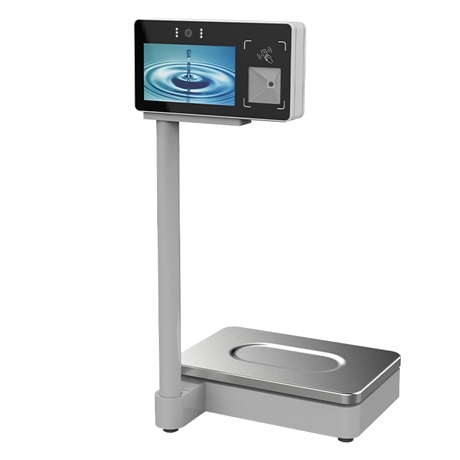 智能称重与自动化物流的无缝集成(图2)